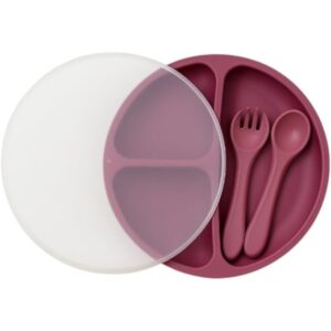 طقم تغذية سيليكون متكامل للأطفال المقسم واللاصق مع غطاء، شوكة، وملعقة – آمن للميكروويف والفريزر ومقاوم للحرارة العالية
